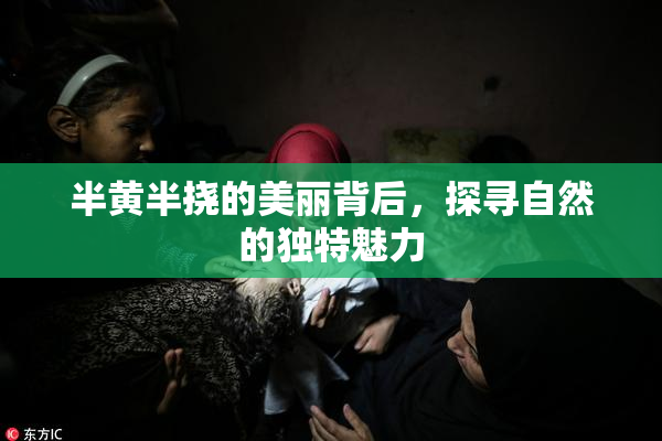 半黄半挠的美丽背后，探寻自然的独特魅力