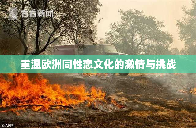 重温欧洲同性恋文化的激情与挑战