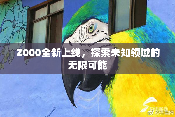 Z000全新上线，探索未知领域的无限可能