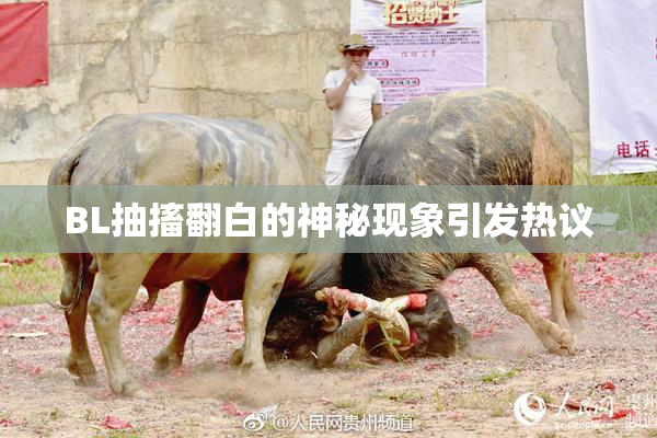 BL抽搐翻白的神秘现象引发热议