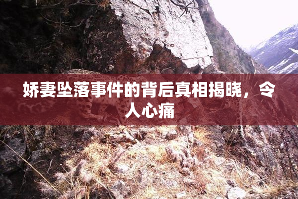 娇妻坠落事件的背后真相揭晓，令人心痛