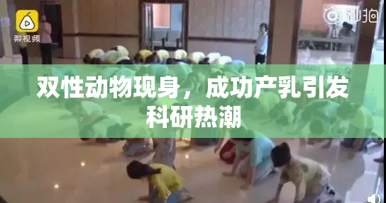 双性动物现身，成功产乳引发科研热潮