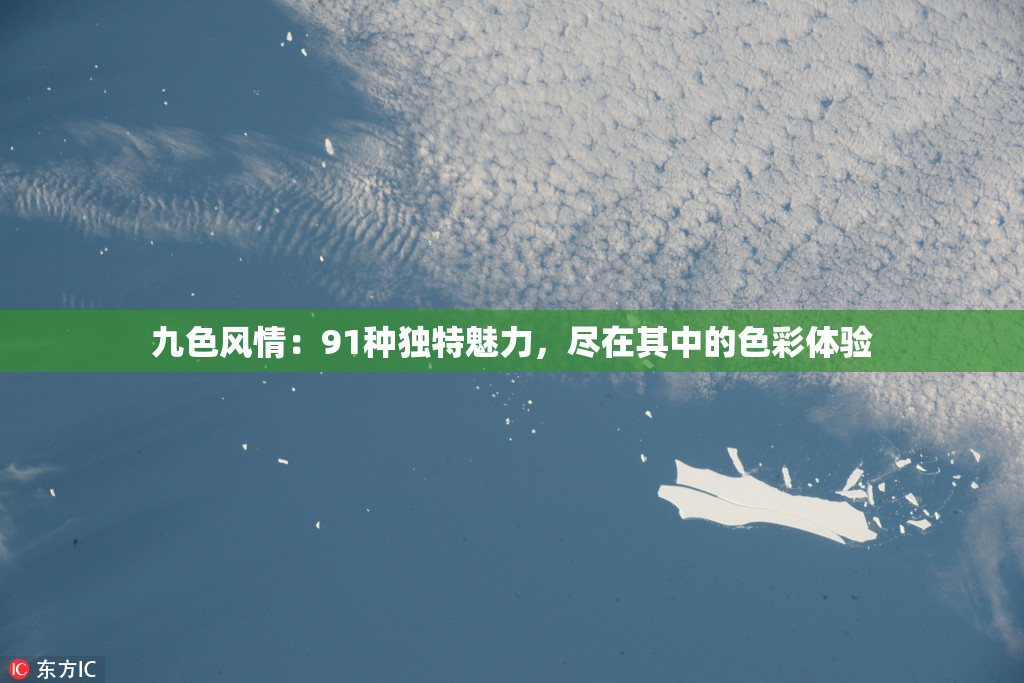 九色风情：91种独特魅力，尽在其中的色彩体验