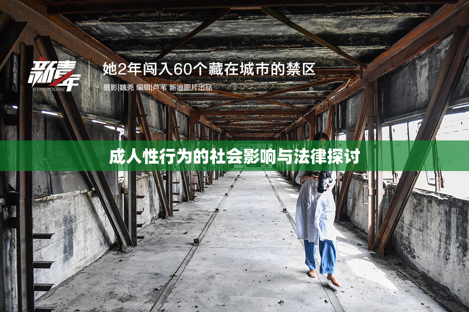成人性行为的社会影响与法律探讨