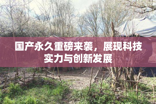国产永久重磅来袭，展现科技实力与创新发展