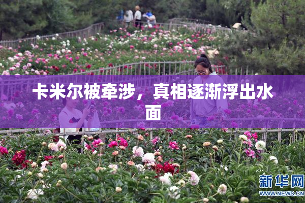 卡米尔被牵涉，真相逐渐浮出水面