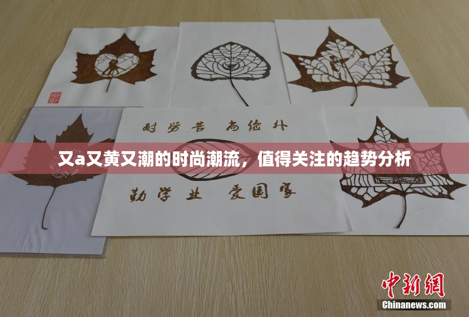 又a又黄又潮的时尚潮流，值得关注的趋势分析