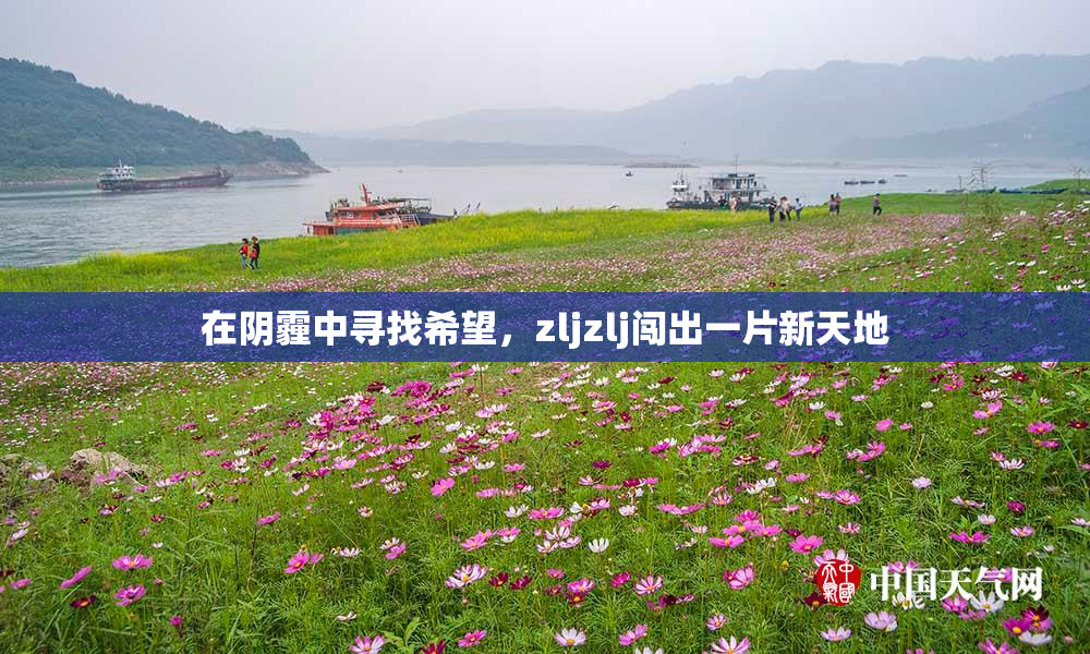 在阴霾中寻找希望，zljzlj闯出一片新天地