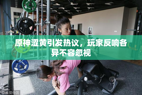 原神涩黄引发热议，玩家反响各异不容忽视