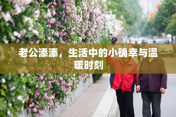 老公添添，生活中的小确幸与温暖时刻