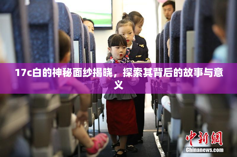 17c白的神秘面纱揭晓，探索其背后的故事与意义