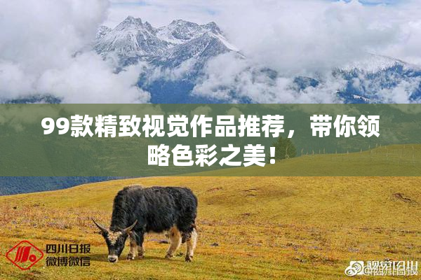 99款精致视觉作品推荐，带你领略色彩之美！