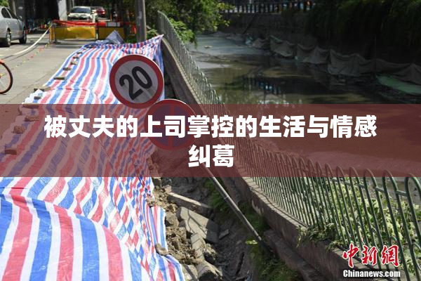 被丈夫的上司掌控的生活与情感纠葛