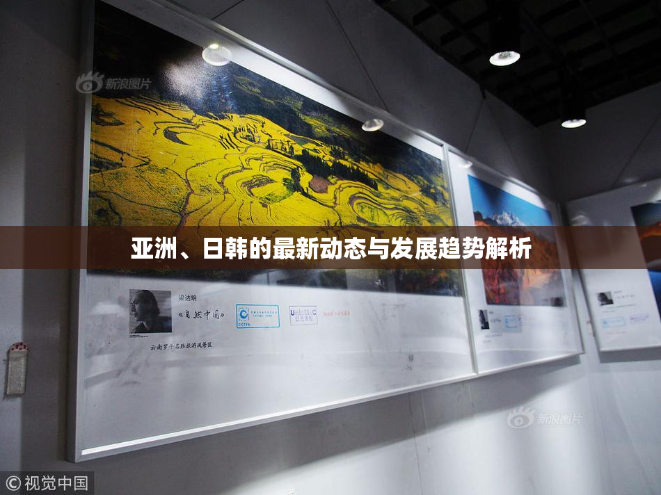 亚洲、日韩的最新动态与发展趋势解析