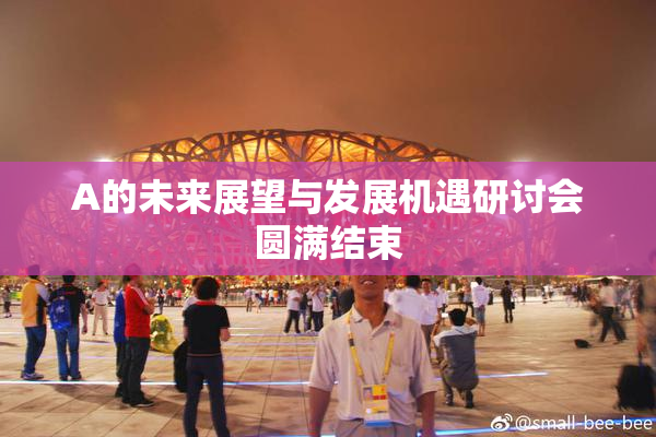 A的未来展望与发展机遇研讨会圆满结束
