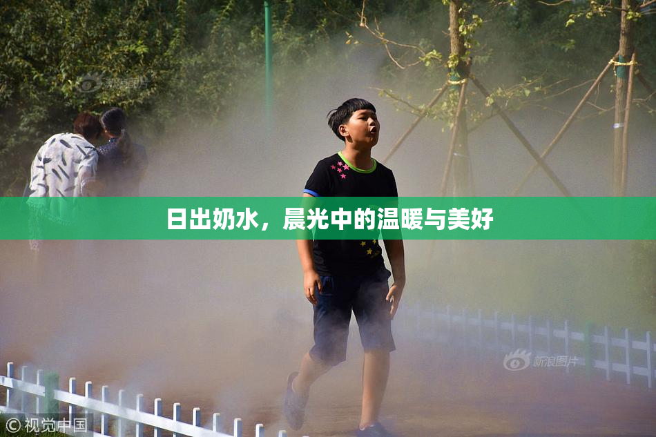 日出奶水，晨光中的温暖与美好