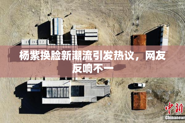 杨紫换脸新潮流引发热议，网友反响不一