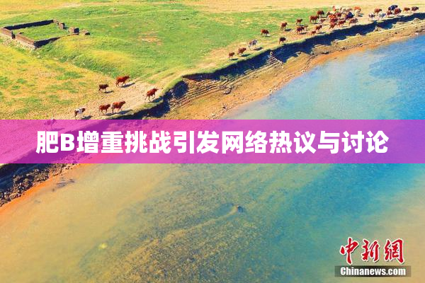 肥B增重挑战引发网络热议与讨论