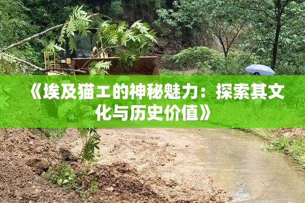《埃及猫エ的神秘魅力：探索其文化与历史价值》