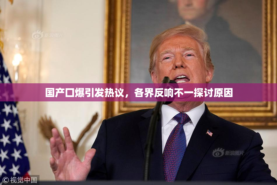 国产囗爆引发热议，各界反响不一探讨原因