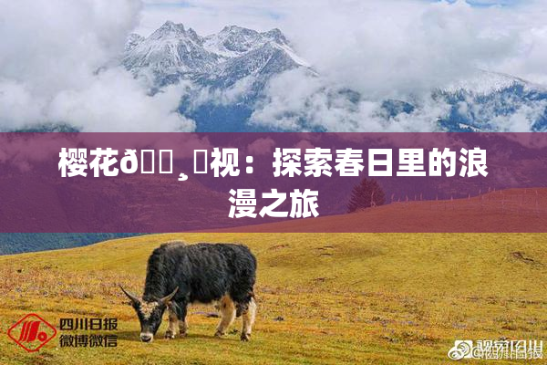 樱花🌸‌视：探索春日里的浪漫之旅
