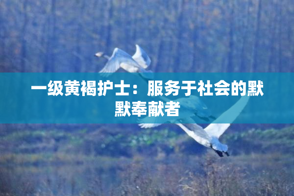 一级黄褐护士：服务于社会的默默奉献者