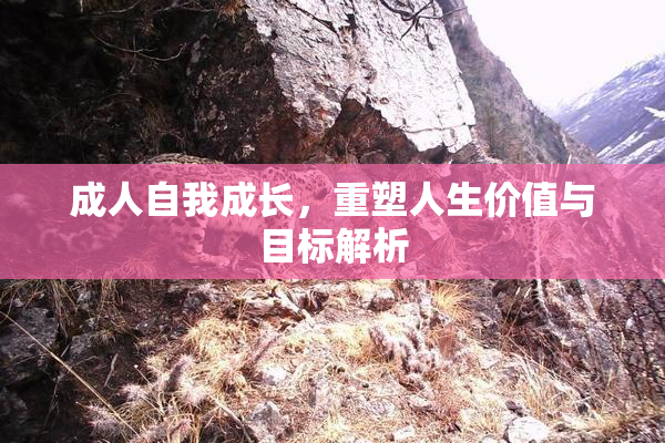 成人自我成长，重塑人生价值与目标解析