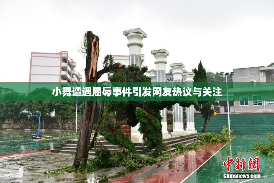 小舞遭遇屈辱事件引发网友热议与关注