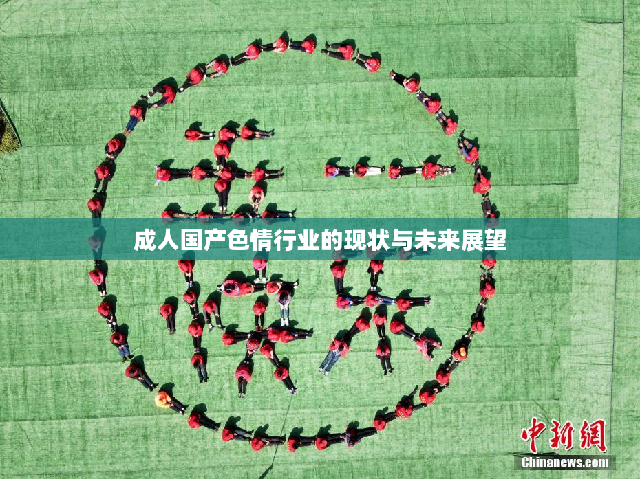 成人国产色情行业的现状与未来展望