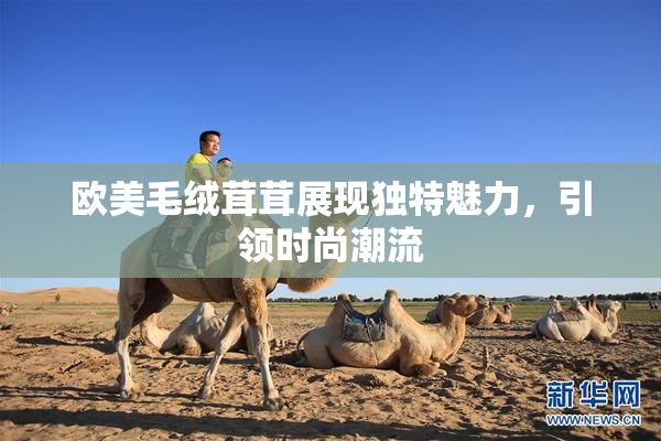 欧美毛绒茸茸展现独特魅力，引领时尚潮流