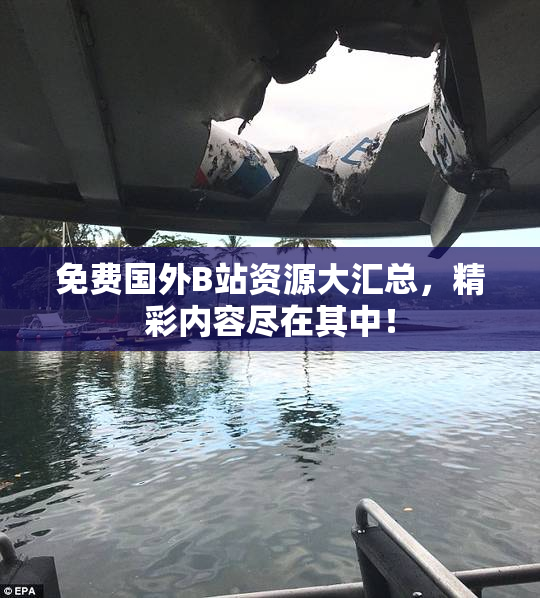 免费国外B站资源大汇总，精彩内容尽在其中！
