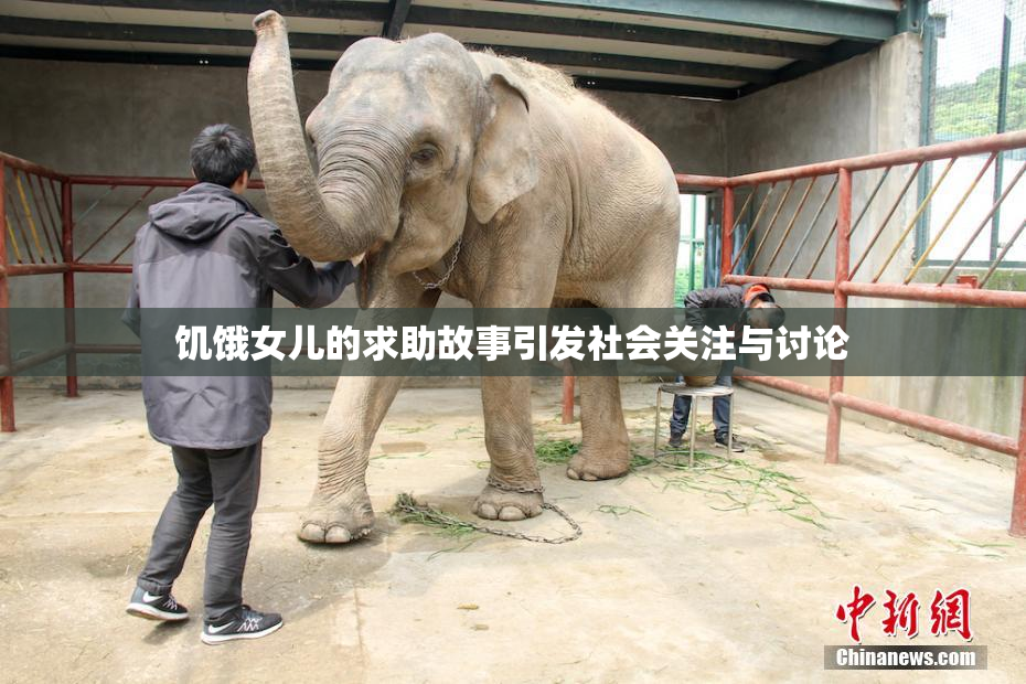饥饿女儿的求助故事引发社会关注与讨论