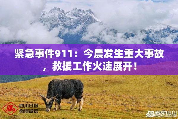 紧急事件911：今晨发生重大事故，救援工作火速展开！