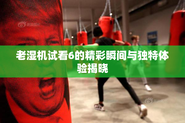老湿机试看6的精彩瞬间与独特体验揭晓