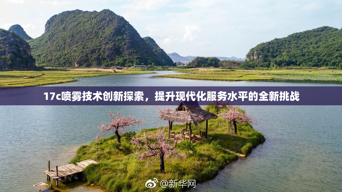 17c喷雾技术创新探索，提升现代化服务水平的全新挑战
