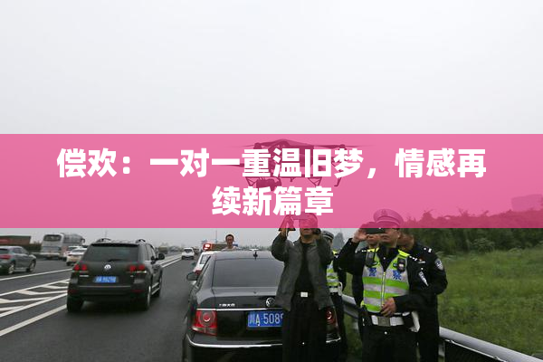 偿欢：一对一重温旧梦，情感再续新篇章