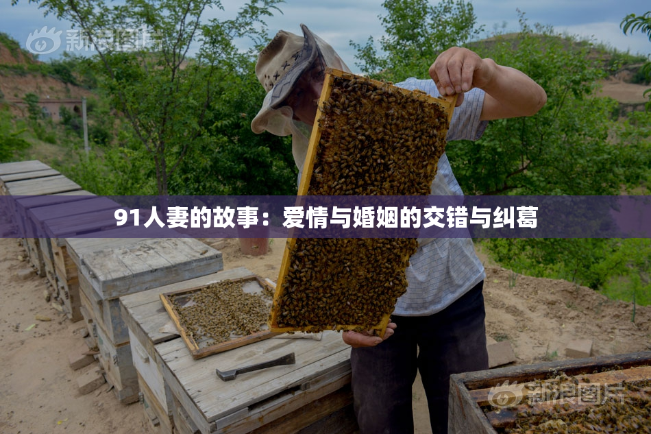 91人妻的故事：爱情与婚姻的交错与纠葛