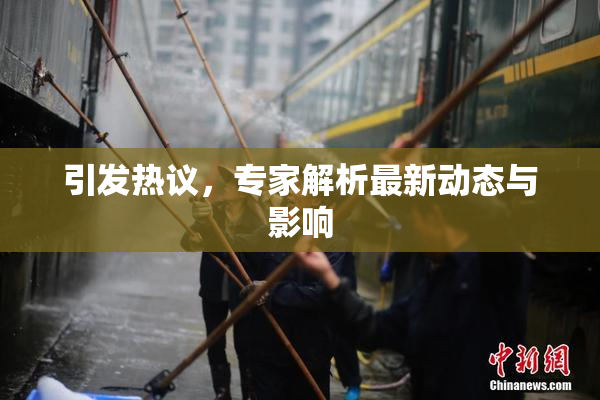 引发热议，专家解析最新动态与影响