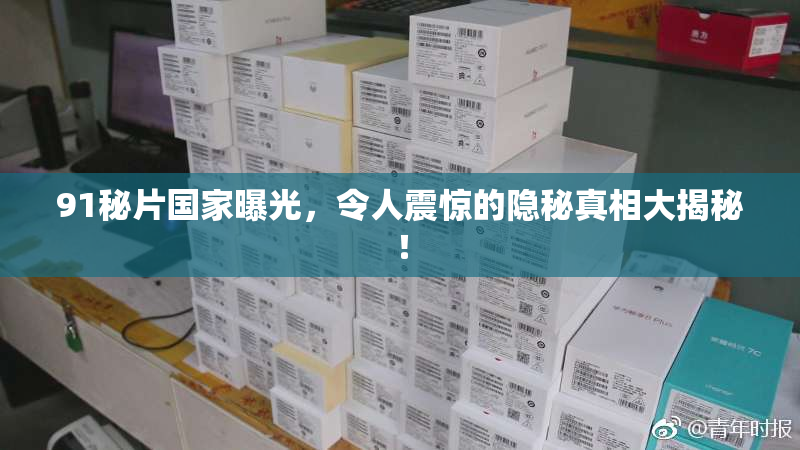 91秘片国家曝光，令人震惊的隐秘真相大揭秘！
