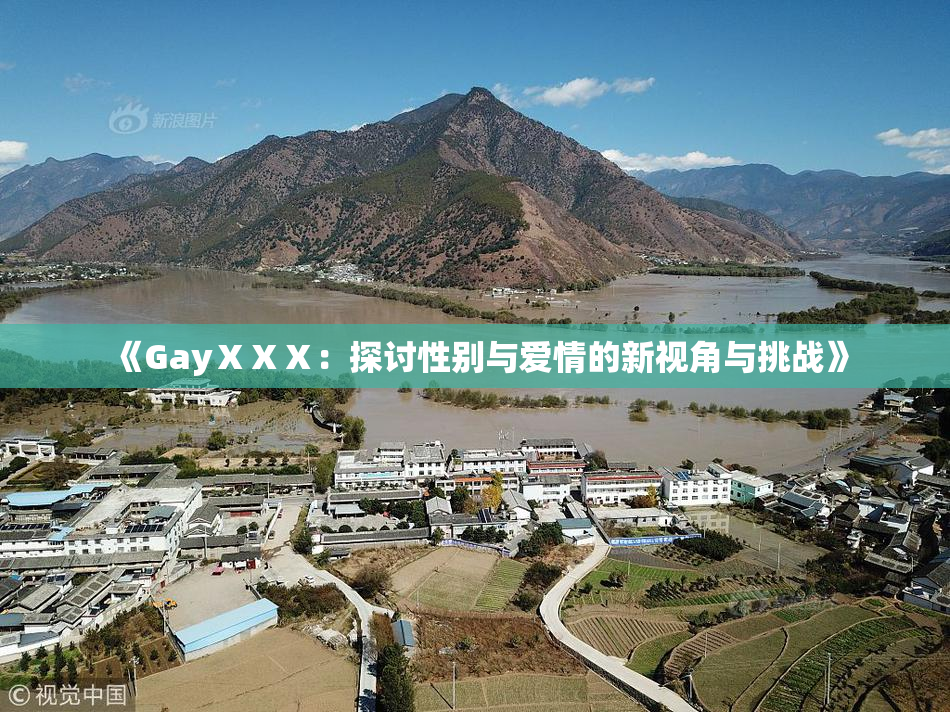 《GayⅩⅩⅩ：探讨性别与爱情的新视角与挑战》