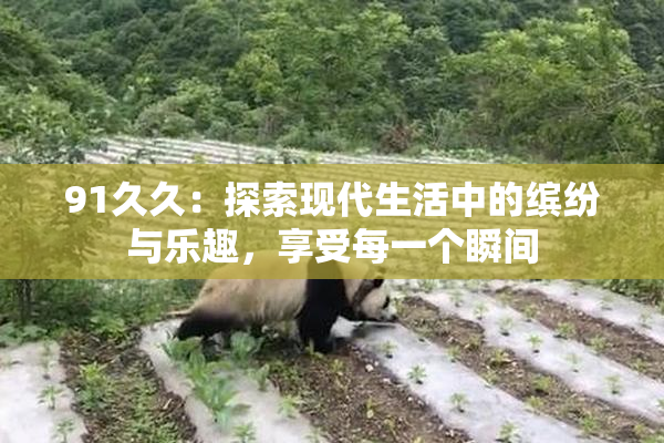91久久：探索现代生活中的缤纷与乐趣，享受每一个瞬间