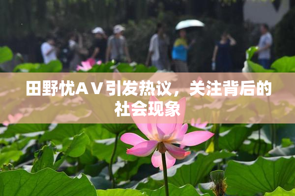 田野忧AⅤ引发热议，关注背后的社会现象