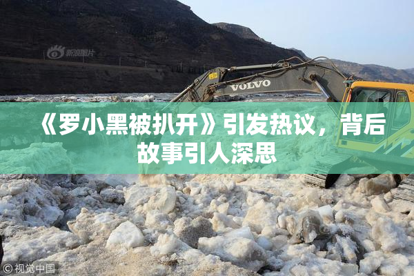 《罗小黑被扒开》引发热议，背后故事引人深思