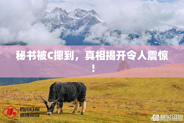 秘书被C摁到，真相揭开令人震惊！
