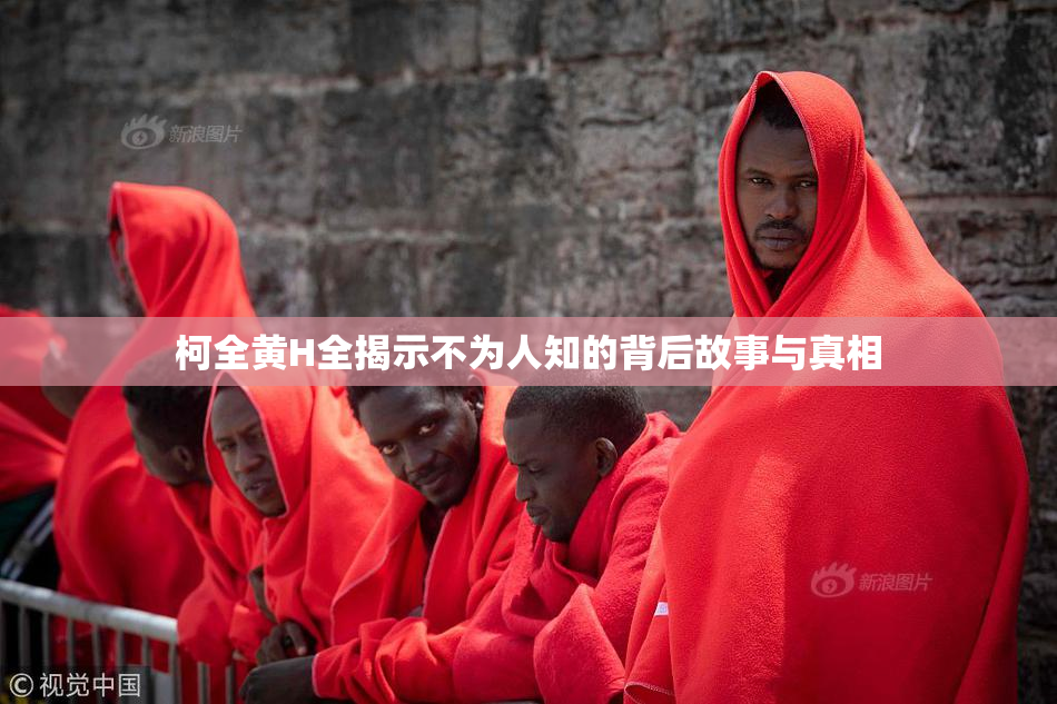柯全黄H全揭示不为人知的背后故事与真相