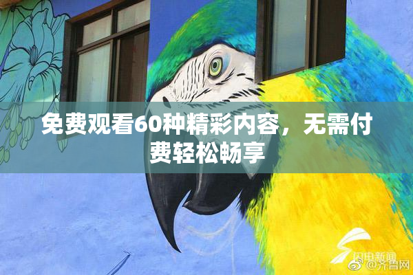 免费观看60种精彩内容，无需付费轻松畅享