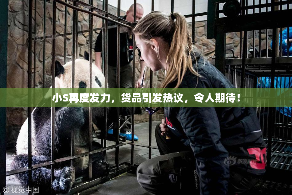 小S再度发力，货品引发热议，令人期待！