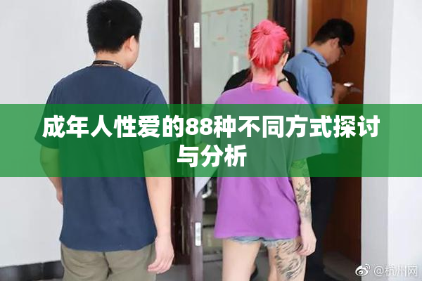 成年人性爱的88种不同方式探讨与分析