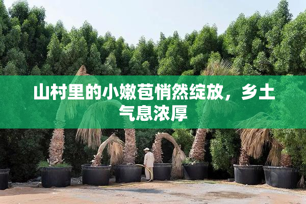 山村里的小嫩苞悄然绽放，乡土气息浓厚