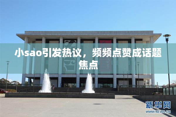 小sao引发热议，频频点赞成话题焦点